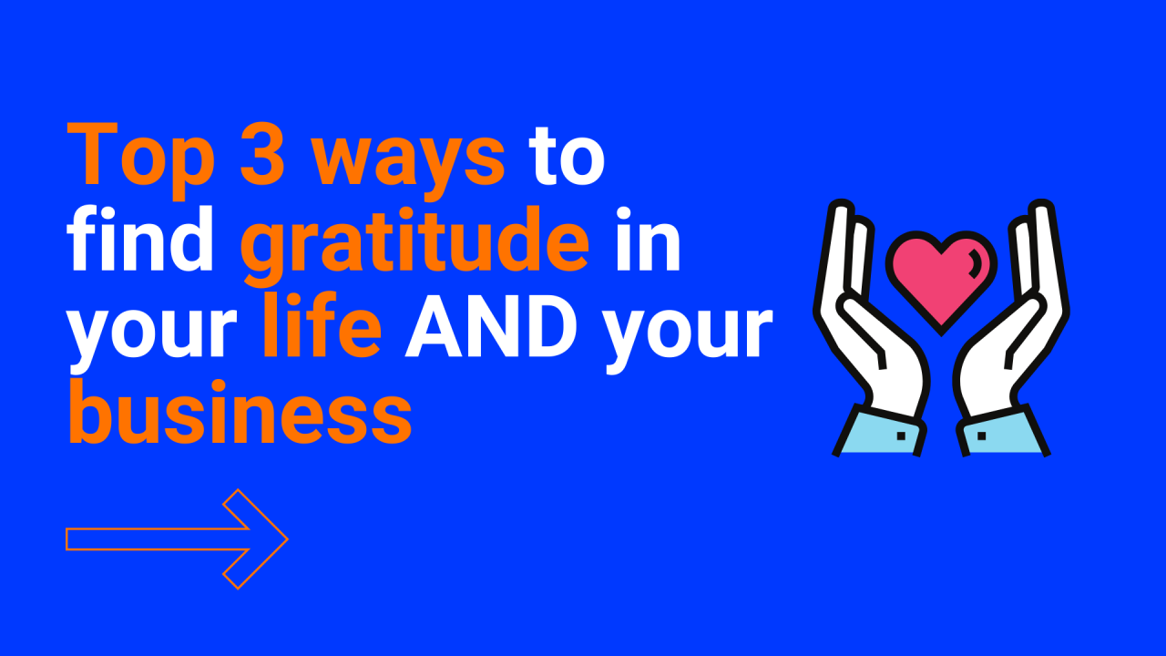 Top 3 ways to find gratitude in your life and your business