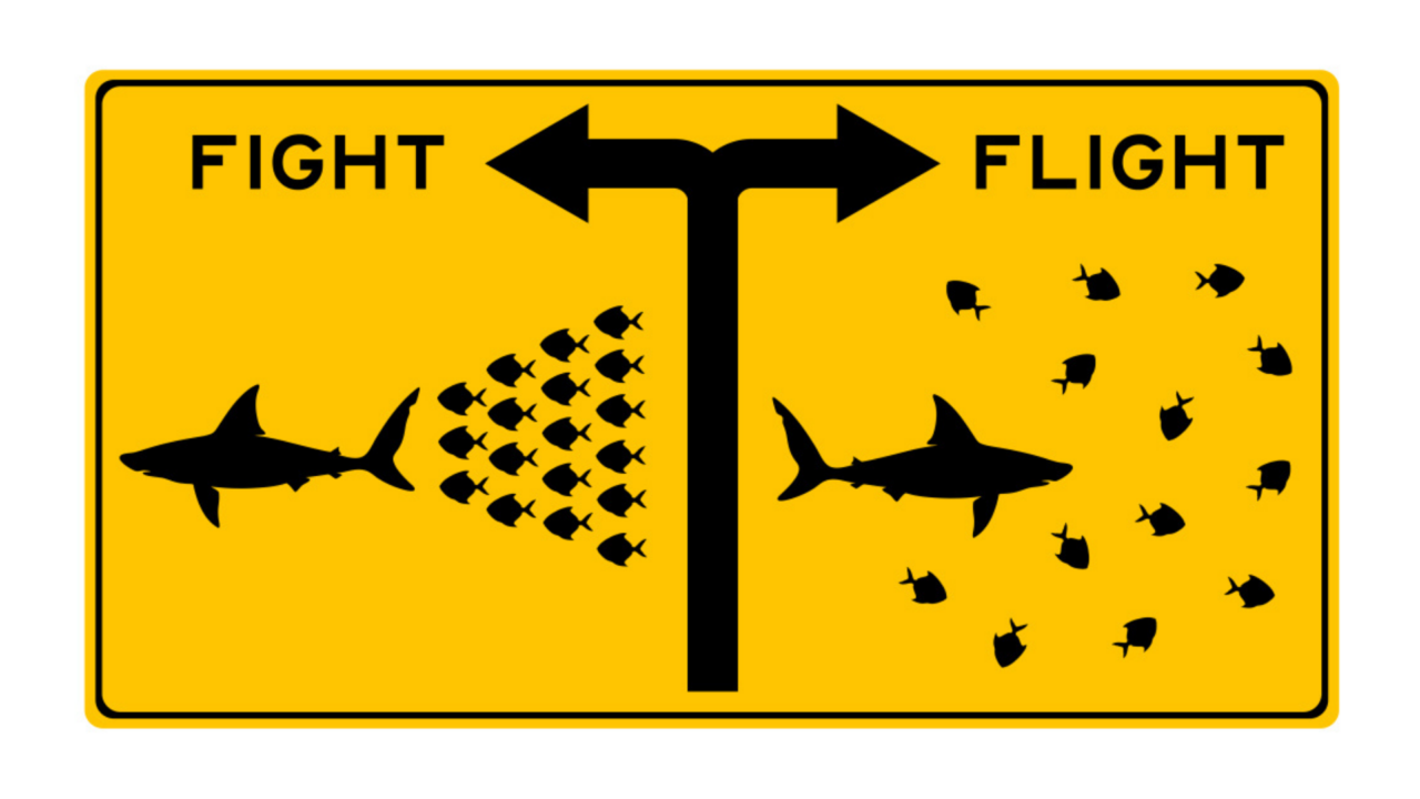 6 Rules You Can Follow, That Will Help You Believe In Yourself ...