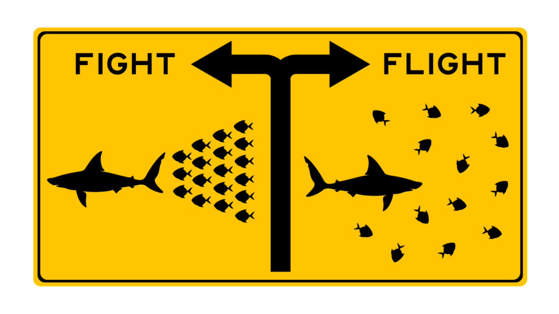 fight flight